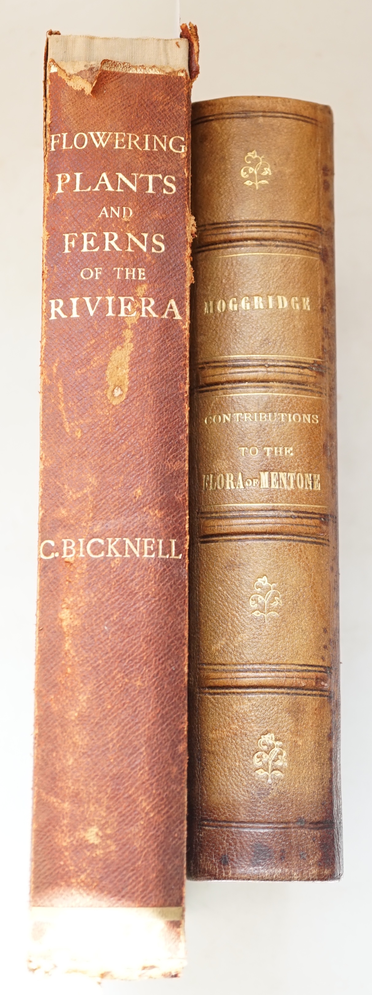 Bicknell, Clarence - Flowering Plants & Ferns of the Riviera & Neighbouring Mountains, 4to, quarter maroon morocco, 82 colour plates, Trubner & Co., London, 1885, together with Moggridge, J. Traherne - Contributions to t